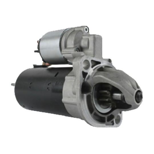 STEM0019